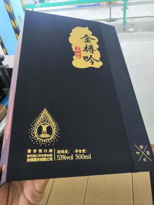 W3182XH2117mm التلقائي حالة ماكينة آلة غلاف الهاتف صنع آلة